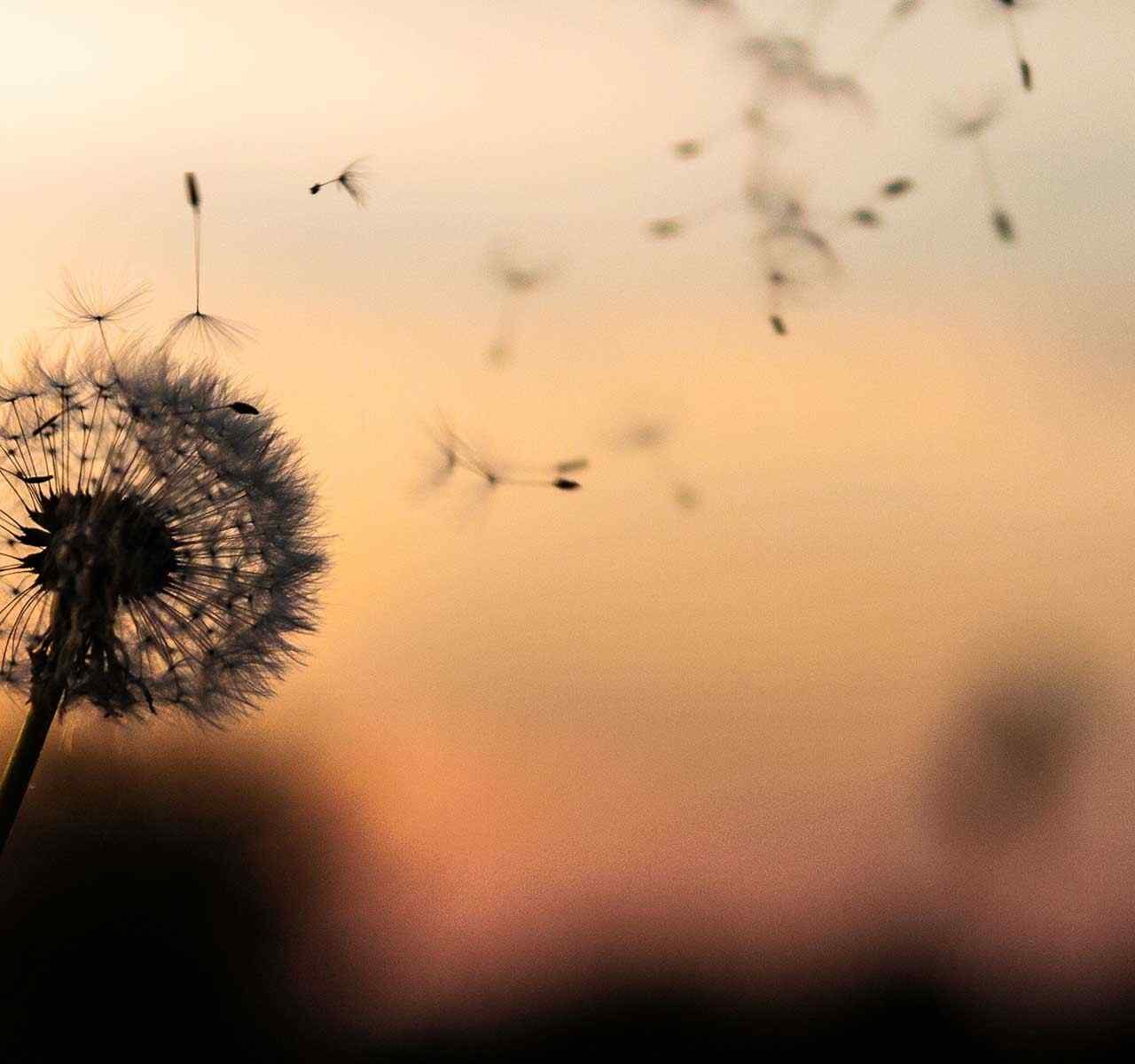 https://kpbl.pl/wp-content/uploads/2018/09/post_02-1280x1200.jpg