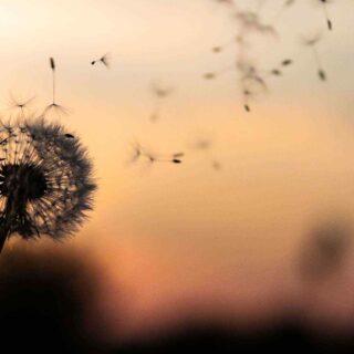 https://kpbl.pl/wp-content/uploads/2018/09/post_02-320x320.jpg