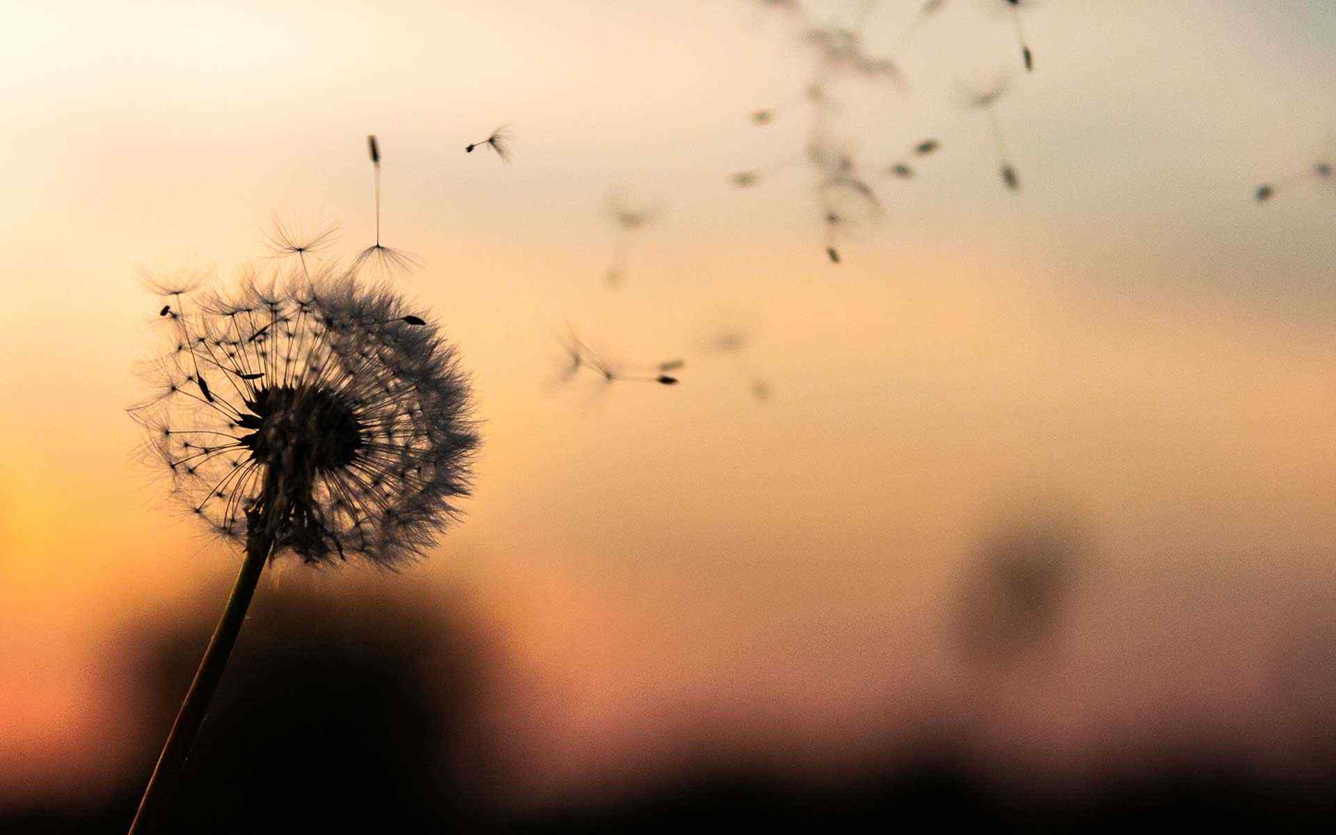 https://kpbl.pl/wp-content/uploads/2018/09/post_02.jpg